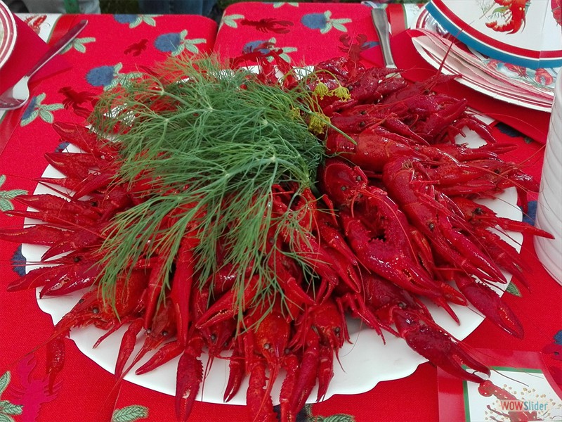 Kr&auml;ftor_2017 (10a)